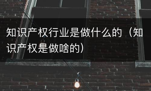 知识产权行业是做什么的（知识产权是做啥的）