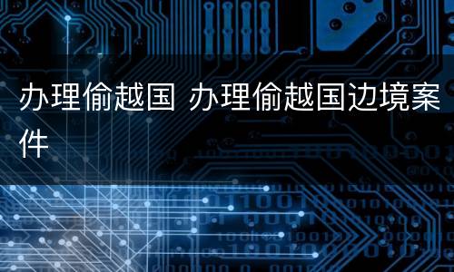办理偷越国 办理偷越国边境案件