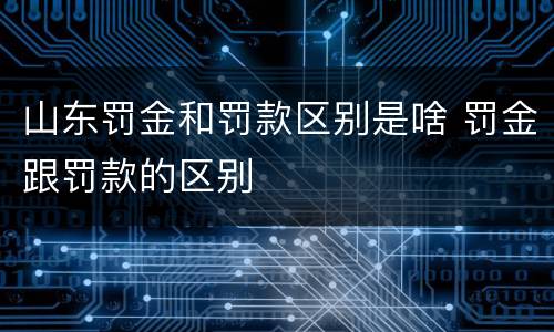 山东罚金和罚款区别是啥 罚金跟罚款的区别