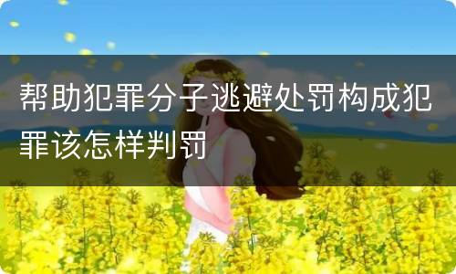 帮助犯罪分子逃避处罚构成犯罪该怎样判罚