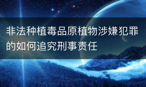 非法种植毒品原植物涉嫌犯罪的如何追究刑事责任
