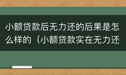 小额贷款后无力还的后果是怎么样的（小额贷款实在无力还了怎么办）