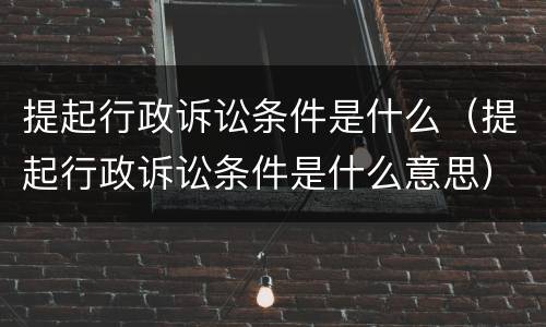 提起行政诉讼条件是什么（提起行政诉讼条件是什么意思）