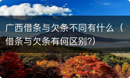 广西借条与欠条不同有什么（借条与欠条有何区别?）