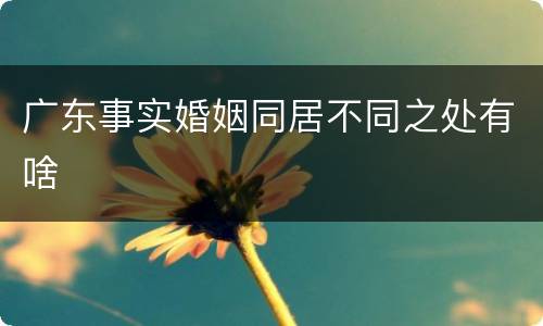 广东事实婚姻同居不同之处有啥