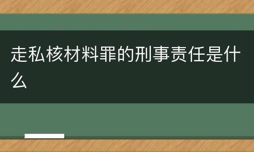 走私核材料罪的刑事责任是什么