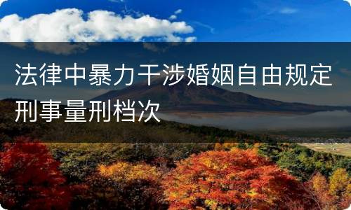 法律中暴力干涉婚姻自由规定刑事量刑档次