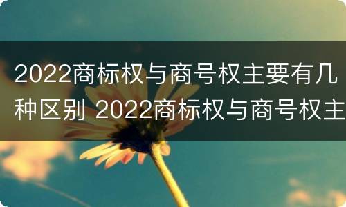 2022商标权与商号权主要有几种区别 2022商标权与商号权主要有几种区别是什么