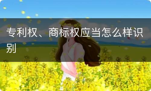 专利权、商标权应当怎么样识别