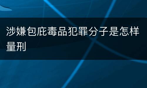 涉嫌包庇毒品犯罪分子是怎样量刑