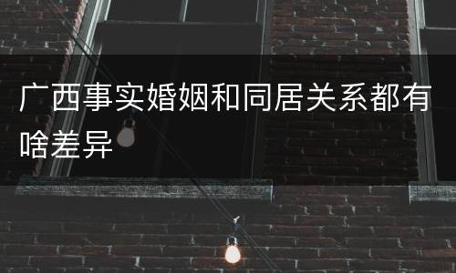 广西事实婚姻和同居关系都有啥差异