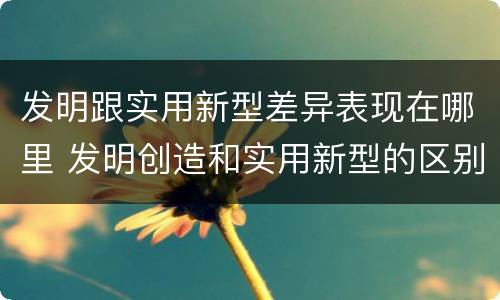 发明跟实用新型差异表现在哪里 发明创造和实用新型的区别