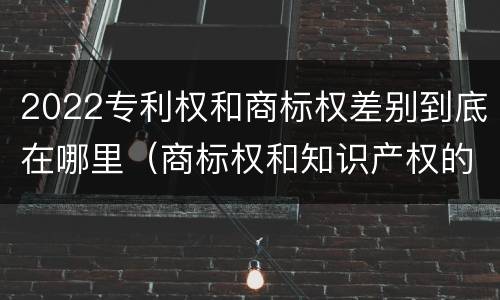 2022专利权和商标权差别到底在哪里（商标权和知识产权的区别）