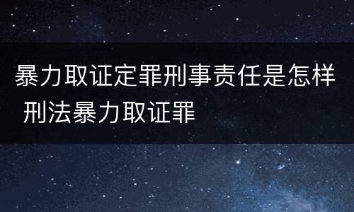 暴力取证定罪刑事责任是怎样 刑法暴力取证罪