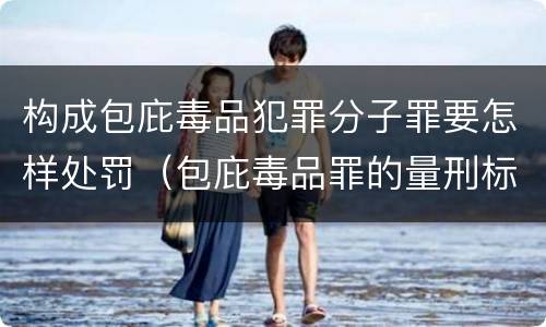 构成包庇毒品犯罪分子罪要怎样处罚（包庇毒品罪的量刑标准）
