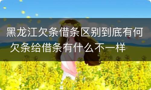 黑龙江欠条借条区别到底有何 欠条给借条有什么不一样