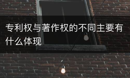 专利权与著作权的不同主要有什么体现