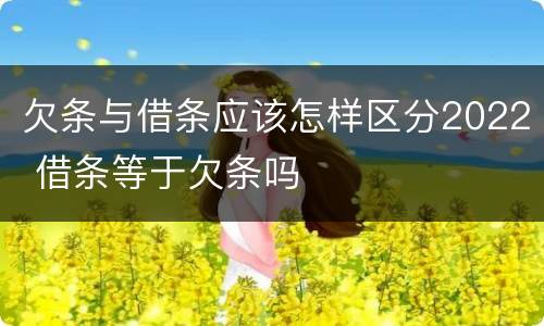 欠条与借条应该怎样区分2022 借条等于欠条吗