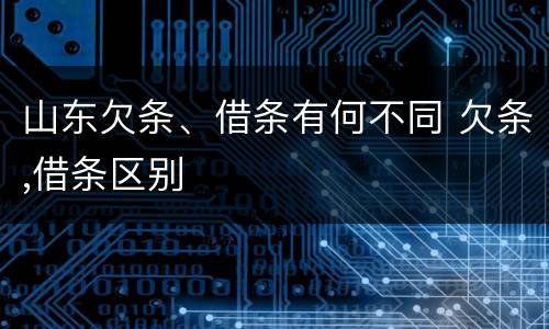 山东欠条、借条有何不同 欠条,借条区别