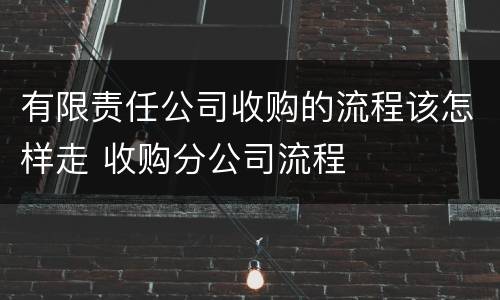 有限责任公司收购的流程该怎样走 收购分公司流程