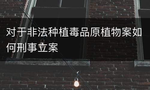 对于非法种植毒品原植物案如何刑事立案