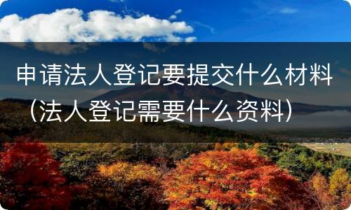 申请法人登记要提交什么材料（法人登记需要什么资料）