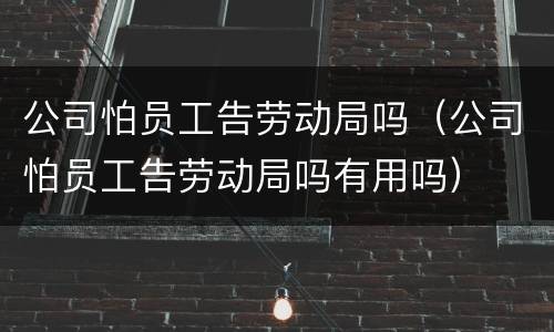 公司怕员工告劳动局吗（公司怕员工告劳动局吗有用吗）