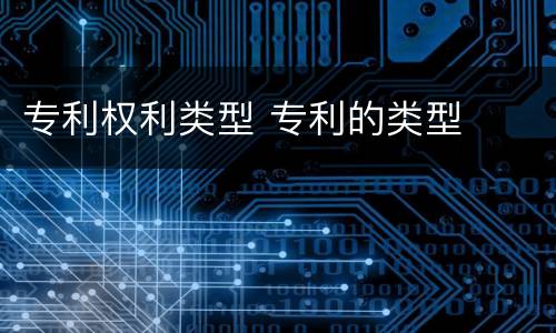 专利权利类型 专利的类型