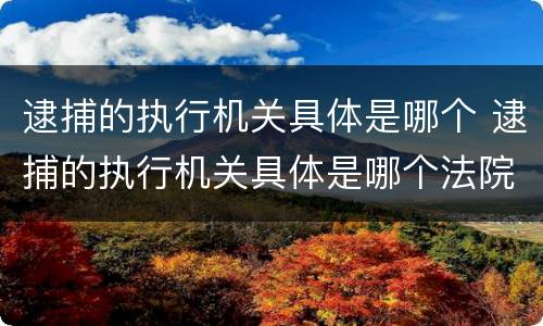 逮捕的执行机关具体是哪个 逮捕的执行机关具体是哪个法院