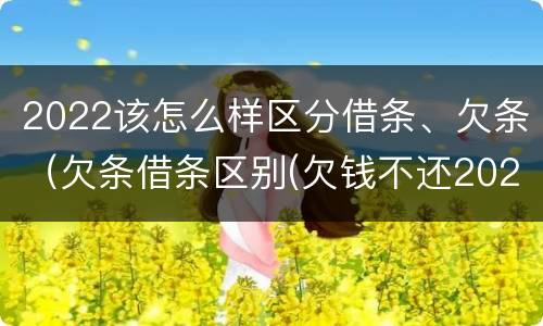 2022该怎么样区分借条、欠条（欠条借条区别(欠钱不还2020年新规 - 法律之家）
