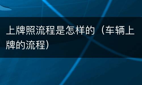 上牌照流程是怎样的（车辆上牌的流程）