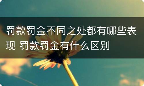 罚款罚金不同之处都有哪些表现 罚款罚金有什么区别