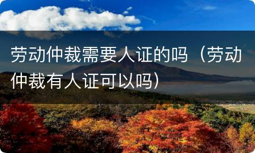 劳动仲裁需要人证的吗（劳动仲裁有人证可以吗）