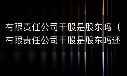 有限责任公司干股是股东吗（有限责任公司干股是股东吗还是董事）