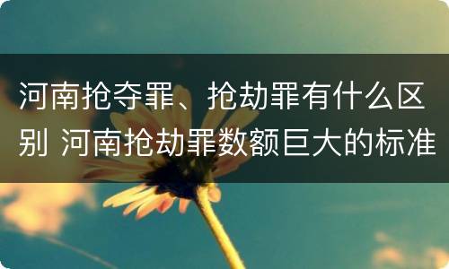 河南抢夺罪、抢劫罪有什么区别 河南抢劫罪数额巨大的标准