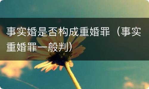 事实婚是否构成重婚罪（事实重婚罪一般判）