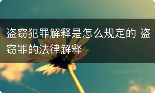 盗窃犯罪解释是怎么规定的 盗窃罪的法律解释