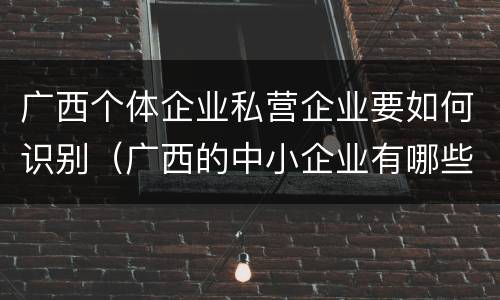 广西个体企业私营企业要如何识别（广西的中小企业有哪些）