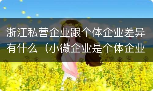 浙江私营企业跟个体企业差异有什么（小微企业是个体企业还是私营企业）