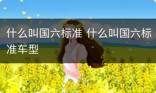 什么叫国六标准 什么叫国六标准车型