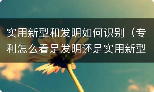 实用新型和发明如何识别（专利怎么看是发明还是实用新型）