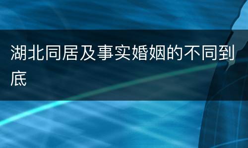 湖北同居及事实婚姻的不同到底