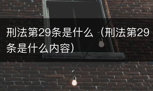 刑法第29条是什么（刑法第29条是什么内容）