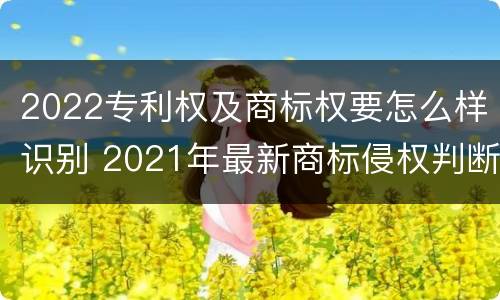2022专利权及商标权要怎么样识别 2021年最新商标侵权判断标准