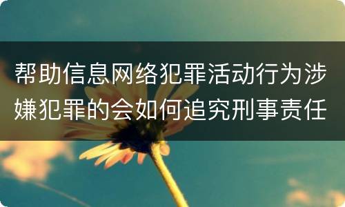 帮助信息网络犯罪活动行为涉嫌犯罪的会如何追究刑事责任