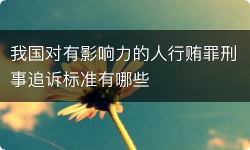 我国对有影响力的人行贿罪刑事追诉标准有哪些