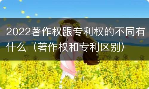 2022著作权跟专利权的不同有什么（著作权和专利区别）