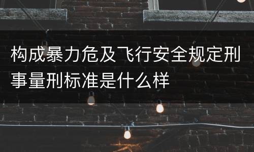 构成暴力危及飞行安全规定刑事量刑标准是什么样