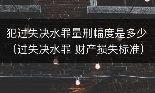 犯过失决水罪量刑幅度是多少（过失决水罪 财产损失标准）