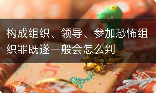构成组织、领导、参加恐怖组织罪既遂一般会怎么判